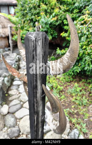 Shak - khod carabao Horn auf einer hölzernen Pfosten häufig außerhalb der Bontoc Häuser gelegt wird, um anzuzeigen, wie viele Kinder der Familie verheiratet. Mountain pro Stockfoto