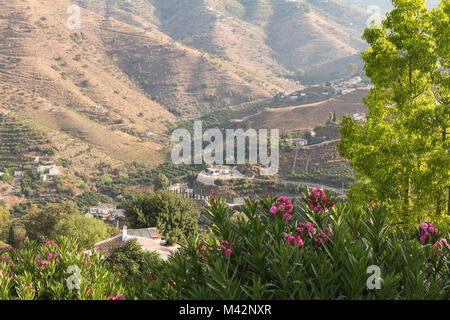 Ein Bild mit Blick von oben in das Tal, die mit der Sierra de Tejeda Palette von Bergen im Hintergrund, auf einem Diesigen morgen in der Axarquia, Andalusien, Spanien Stockfoto