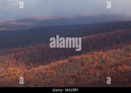 Cansiglio Wald, Venetien, Italien. Anzeigen von Cansiglio Wald von oben Pizzoc Berg Stockfoto