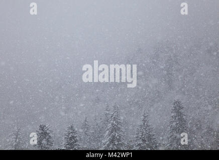 Limone Piemonte, Cuneo, Seealpen, Piemont, Italien, Europa. Stockfoto