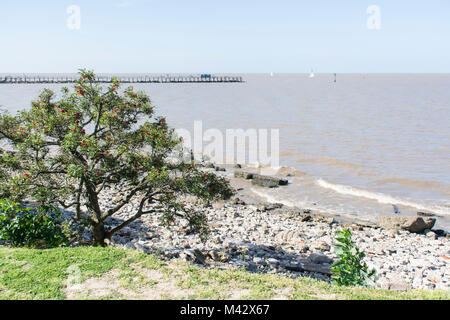 Buenos Aires Costanera Sur Ecological Reserve, Argentinien Stockfoto