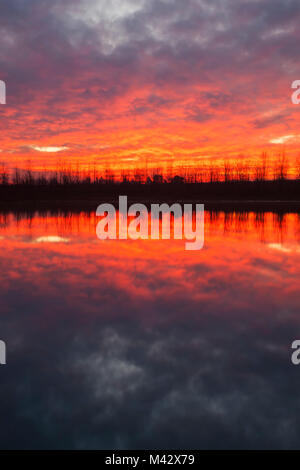 Po River Park, Provinz Alessandria, Piemont, Italien, Europa. Stockfoto