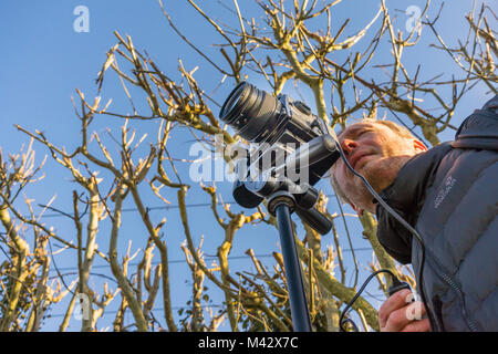 Männliche Fotograf ein Bild mit einem Medium format Kamera auf einem Stativ, Low Angle View mit blauer Himmel Stockfoto