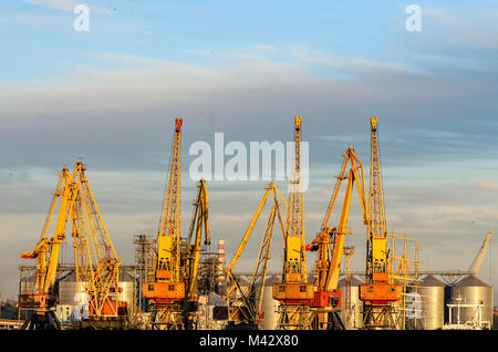 Gelben Krane, die in einem Seehafen vor dem Hintergrund von Metall Getreidespeicher und ein blauer Himmel mit Wolken und fliegen Scharen von Vögeln Stockfoto