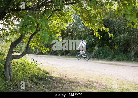 Ein Mann mit dem Fahrrad in Costanera Sur Ecological Reserve, Buenos Aires, Argentinien Stockfoto