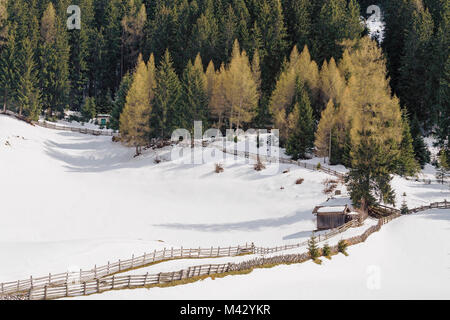 Obernberg bin Brenner, Innsbruck Land, Tirol - Tirol, Österreich, Europa Stockfoto