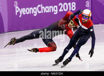 PyeongChang, Südkorea. 13 Feb, 2018. SAMUEL GIRARD von Kanada stürzt nach durch SJINKIE KNEGT der Niederlande während der Herren Short Track Eisschnelllauf 5000m Relais berührt wird erwärmt am PyeongChang 2018 Winter-olympischen Spiele bei Gangneung Ice Arena. Credit: Paul Kitagaki jr./ZUMA Draht/Alamy leben Nachrichten Stockfoto