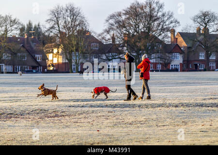 Northampton, Großbritannien 14. Februar 2018. Wetter. Ein kaltes helles Start in den Tag mit einem schweren Frost, Hund Wanderer gegen die Kälte der Ausübung ihrer Haustiere in Abington Park gewickelt, die Prognose ist für Regen später am Tag. Credit: Keith J Smith./Alamy leben Nachrichten Stockfoto