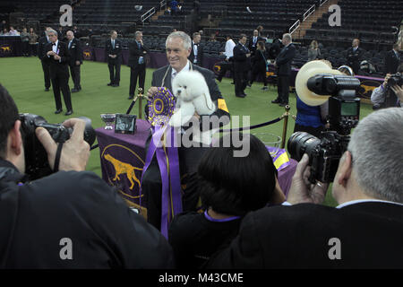 New York, NY, USA. 13 Feb, 2018. (L - R) Hundeführer Bill McFadden und Flynn, die Bichon Frise gewinnt Best in Show auf der 142 Westminster Kennel Club im Madison Square Garden am 13. Februar 2018 in New York City statt. Quelle: MPI 43/Media Punch/Alamy leben Nachrichten Stockfoto