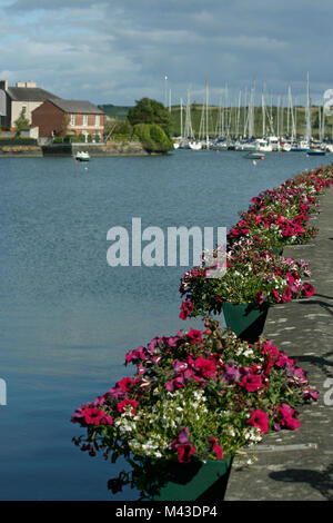 Hafen mit Blumen und Segelboote in der Stadt Kinsale, Irland, Stockfoto