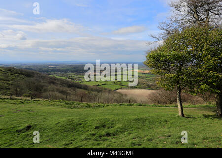 Sommer Blick über Chanctonbury Ring, South Downs National Park, Sussex, England, Großbritannien Stockfoto