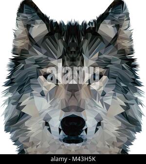 Big Low Poly Wolf. Vektor Dreieck Art. Stock Vektor