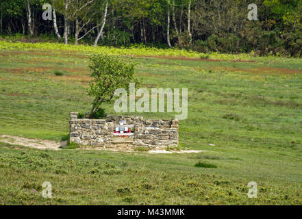 Memorial Gehäuse für den Flieger Grab auf Ashdown Forest Stockfoto