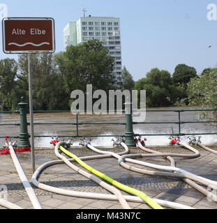 Alte Elbe in Magdeburg während der Überschwemmungen im Juni 2013 Stockfoto