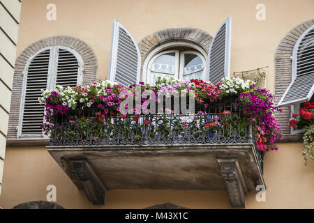 Lucca, Haus Detail in der Straße Via San Girolamo Stockfoto