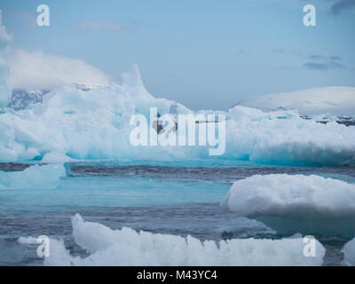 Baby Blau, Grau Blau und Grau in Esperanza Eisberge in der Antarktis floating in der Stahl, blaue Wasser des Südlichen Ozeans. Bewölkter Himmel über. Stockfoto