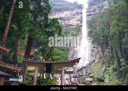 Erstaunlich und spirituellen Nachisan, wandern die alten 1000-jährige Kumano Kodo" Nakahechi route" (Imperial Trail) Kii Halbinsel, südlichen Japan Stockfoto