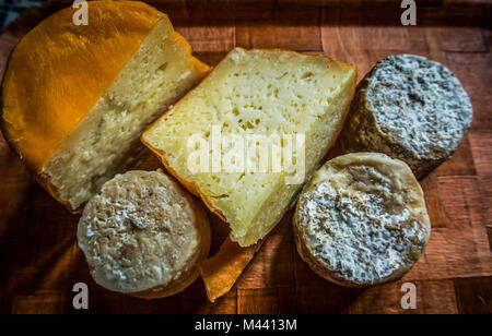 Mehrere Arten von Käse auf einem Holzbrett Stockfoto