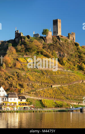 Ruinen von Metternich Schloss mit Weinberg, Beilstein, Mosel, Rheinland-Pfalz, Deutschland Stockfoto