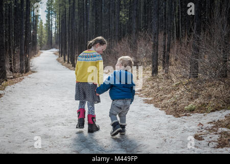 Schwester führenden kleinen Bruder, Troll fällt, Canmore, Kanada Stockfoto