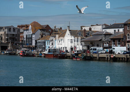 Silbermöwe fliegen über Weymouth Hafen Stockfoto