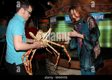 Spidercrabs SEA LIFE Berlin, Alexandra Kamp Stockfoto