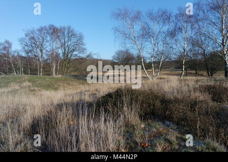 Hamburg Boberg Tiefland Stockfoto