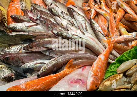 Verschiedene Arten von Fischen zum Verkauf auf dem Markt Stockfoto