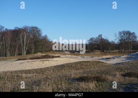 Hamburg Boberg Dünen im Winter Stockfoto