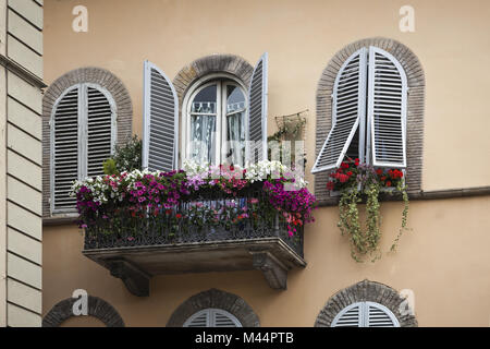 Lucca, Haus Detail in der Straße Via San Girolamo Stockfoto