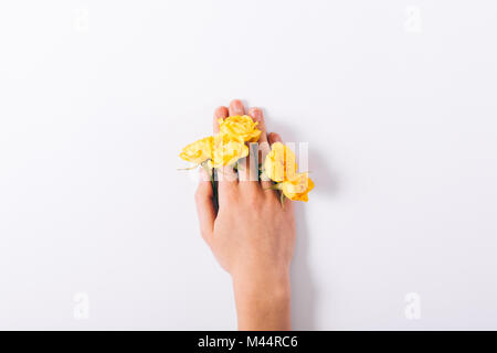 Weibliche hand mit kleinen gelben Rosen auf einem weißen Hintergrund close-up Stockfoto