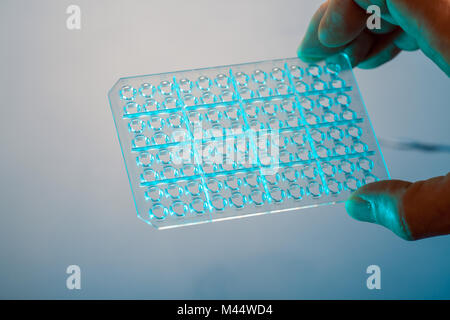 PCR-Platte im mikrobiologischen Labor, 96 Well Platten für PCR-Verarbeitung, mikrobiologische Labor. Stockfoto