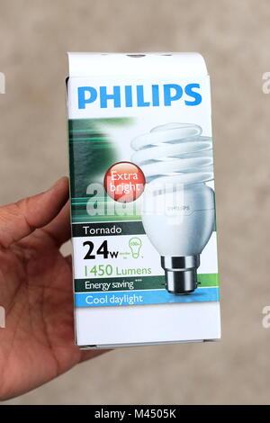 Philips Glühbirne in der Box isoliert Stockfoto