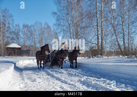 Nowosibirsk, Russland - Januar 11, 2018: Troika von Pferden genutzt, um einen Schlitten. Slawische Volksmusik im späten Winter feste Fastnacht. Kazymsky Gefängnis. Uhr Stockfoto