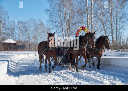 Nowosibirsk, Russland - Januar 11, 2018: Troika von Pferden genutzt, um einen Schlitten. Slawische Volksmusik im späten Winter feste Fastnacht. Kazymsky Gefängnis. Uhr Stockfoto