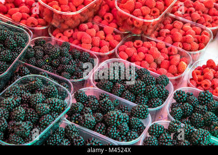 Brombeeren und Himbeeren zum Verkauf an der Open-Air-Markt von Split, Dalmatien, Kroatien Stockfoto