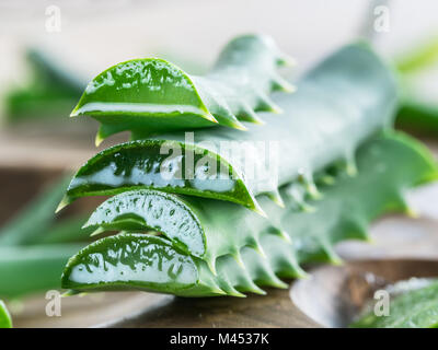 Frische Aloe Vera Blatt slice schließen bis auf Holz- Hintergrund. Stockfoto