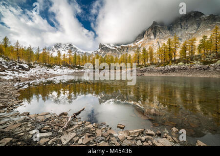 Die Nero See im Herbst (Buscagna Tal, Alpe Devero, Alpe Veglia und Alpe Devero Naturpark, Baceno, Provinz Verbano Cusio Ossola, Piemont, Ital Stockfoto