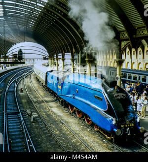 LNER Klasse A4 4468 Stockente Nr. 4468 an der York Station in 1986 auf der Route der Scarborough Spa Express. Stockfoto