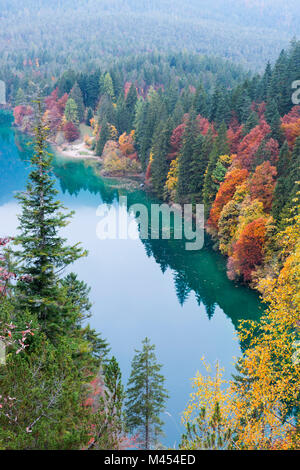 Tovel See im Herbst Europa, Italien, Trentino Alto Adige, Nonstal, Ville d'Anaunia, Tuenno Stockfoto