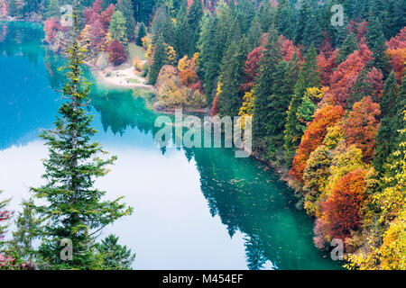 Tovel See im Herbst Europa, Italien, Trentino Alto Adige, Nonstal, Ville d'Anaunia, Tuenno Stockfoto