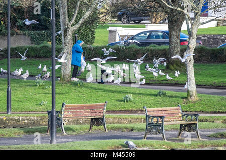 Eine Frau, die Fütterung verschiedener Arten von Möwen in Trenance Park in Newquay Cornwall. Stockfoto