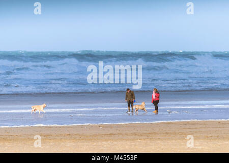 Hund Spaziergänger am Strand in Perranporth Cornwall UK. Stockfoto