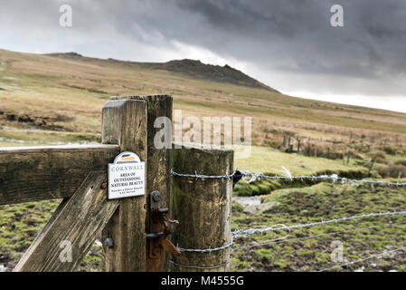 Rough Tor auf Bodmin Moor in Cornwall. Stockfoto