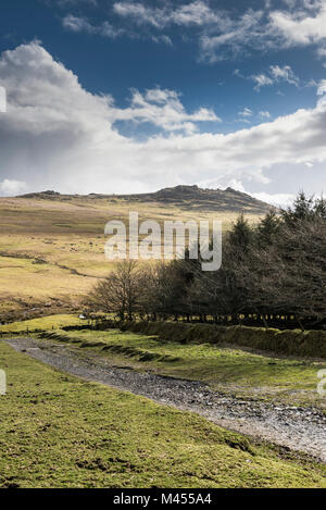 Rough Tor auf Bodmin Moor in Cornwall. Stockfoto