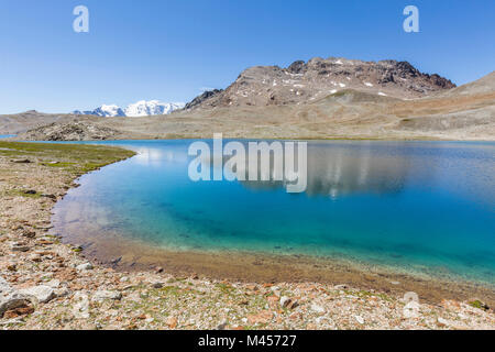 Lej da la Pischa mit Piz Palù im Hintergrund, gianda Albris, Val Dal Fain, Pontresina, Kanton Graubünden, Schweiz Stockfoto