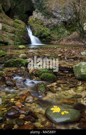 Wasserfall auf dem Rio Rancina Fluss im Herbst, masciago Primo, Parco Regionale Campo dei Fiori, Varese, Lombardei, Italien. Stockfoto