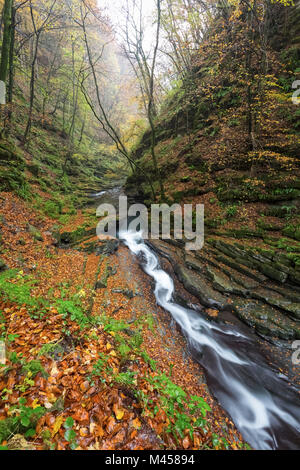 Herbst an einem Wasserfall des Flusses Breggia, in der Nähe der Mühle, Bruzella Muggiotal, Mendrisio Bezirk, Kanton Tessin, Schweiz. Stockfoto