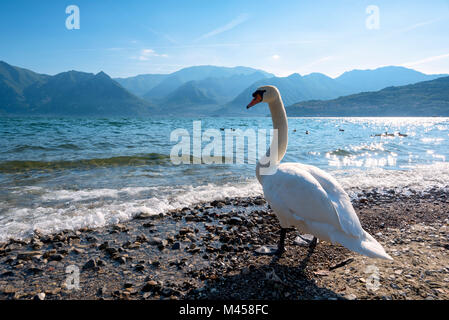 Iseo See Blick von San Defendente Hill, Provinz Bergamo, Lombardei, Italien. Stockfoto