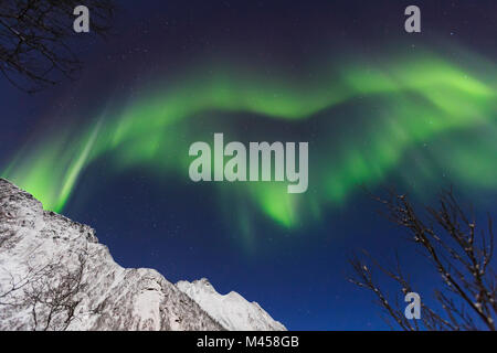 Nordlichter (Aurora Borealis) an Mefjorden Fjord, Berg in Troms, Norwegen, Senja, Nordland, Norwegen, Europa Stockfoto